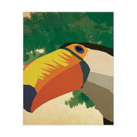 Geometric Toucan