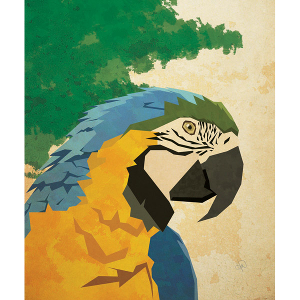 Geometric Macaw 