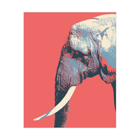 Elephant to the Right Red