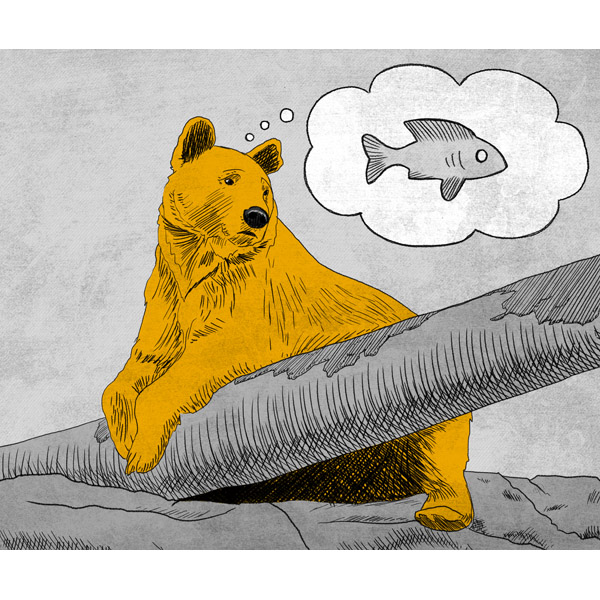 Bearly Any Fish - Yellow