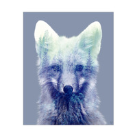 Blue Forest Fox
