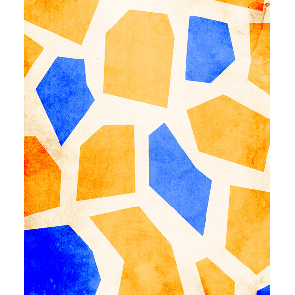 Orange and Blue Giraffe Print