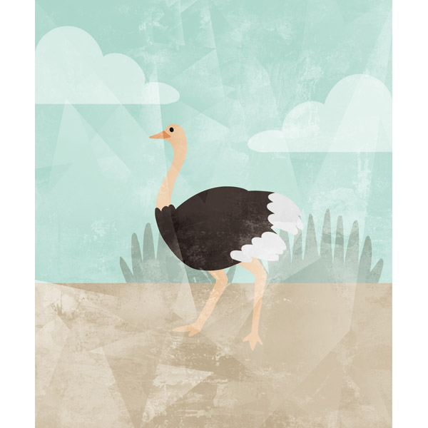 Graceful Ostrich