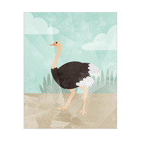 Graceful Ostrich