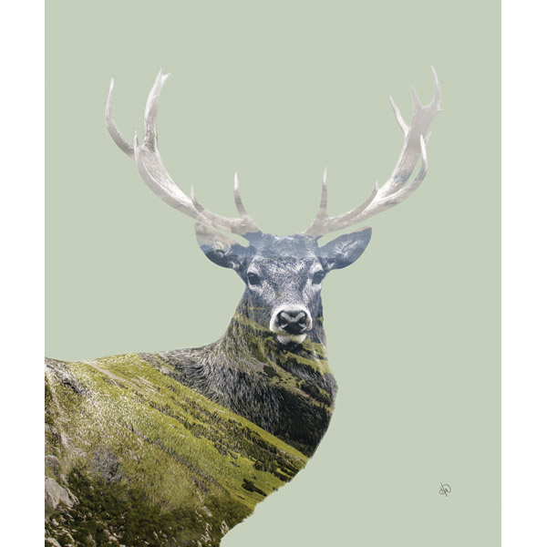 Mountain Elk - Green