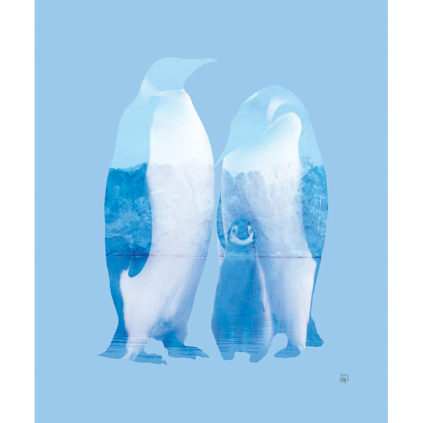 Antarctica Penguin - Blue
